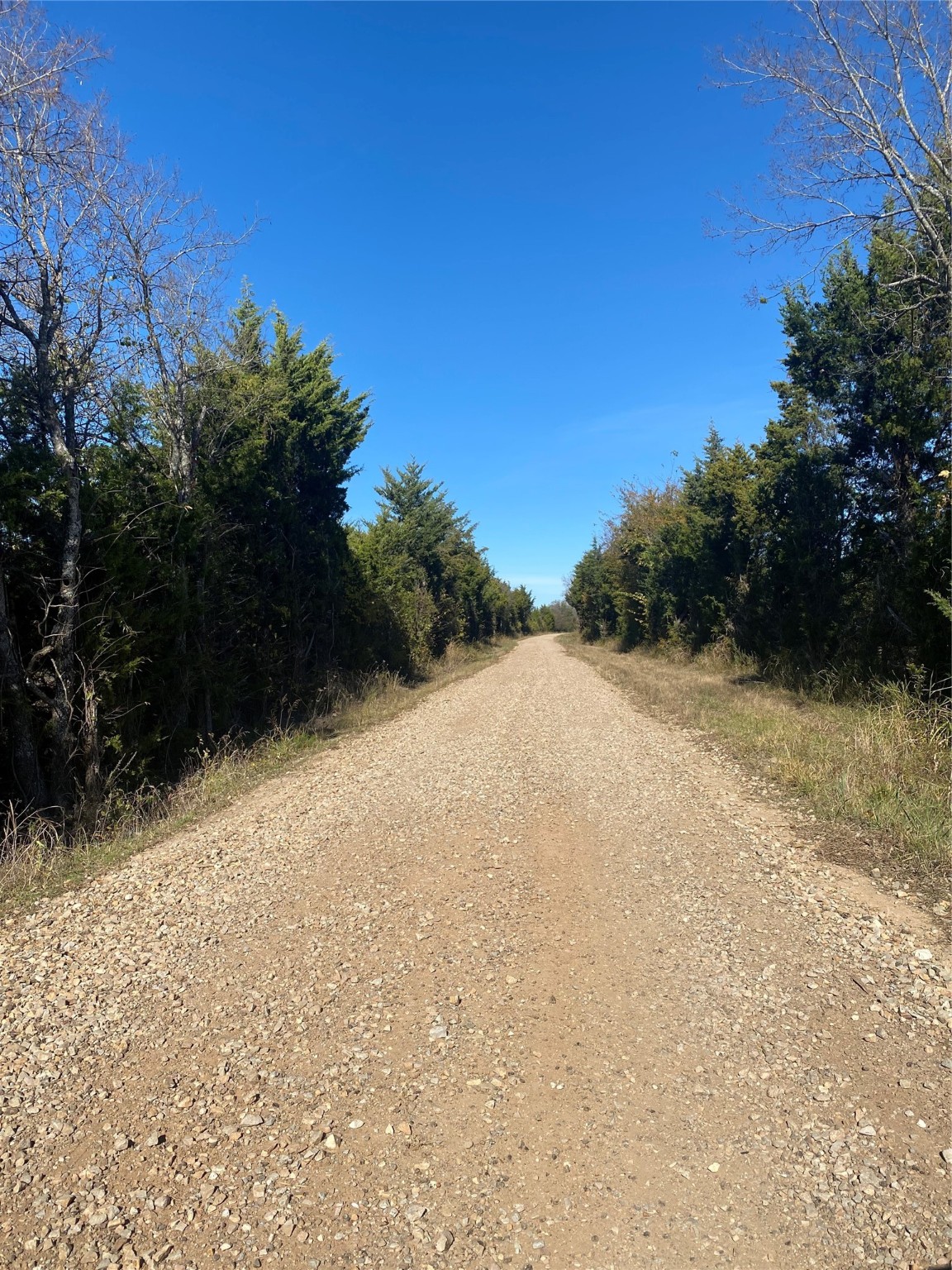 1604 Cr 3365 Ladonia TX 75449