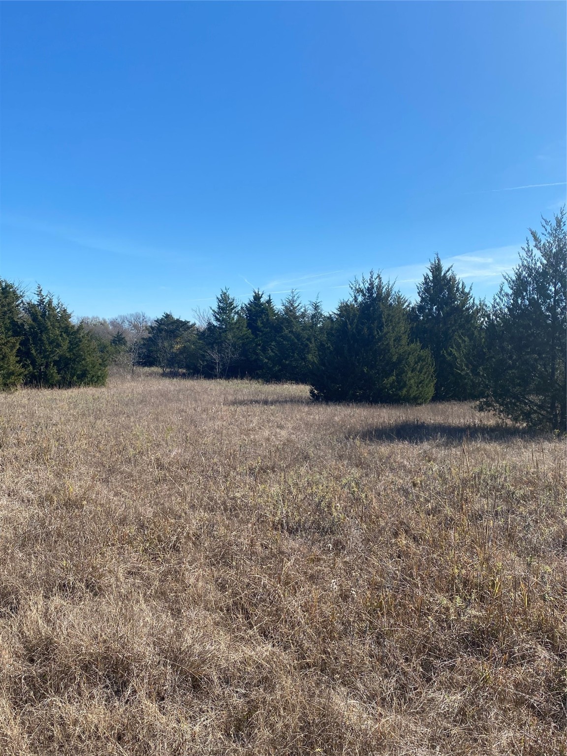 1604 Cr 3365 Ladonia TX 75449