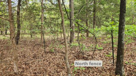Tbd 6.16 Acres Fm 115 Scroggins TX 75480