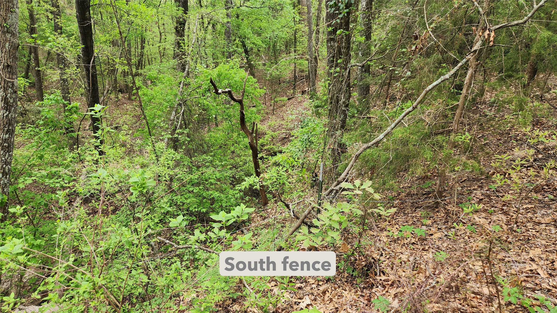 Tbd 6.16 Acres Fm 115 Scroggins TX 75480