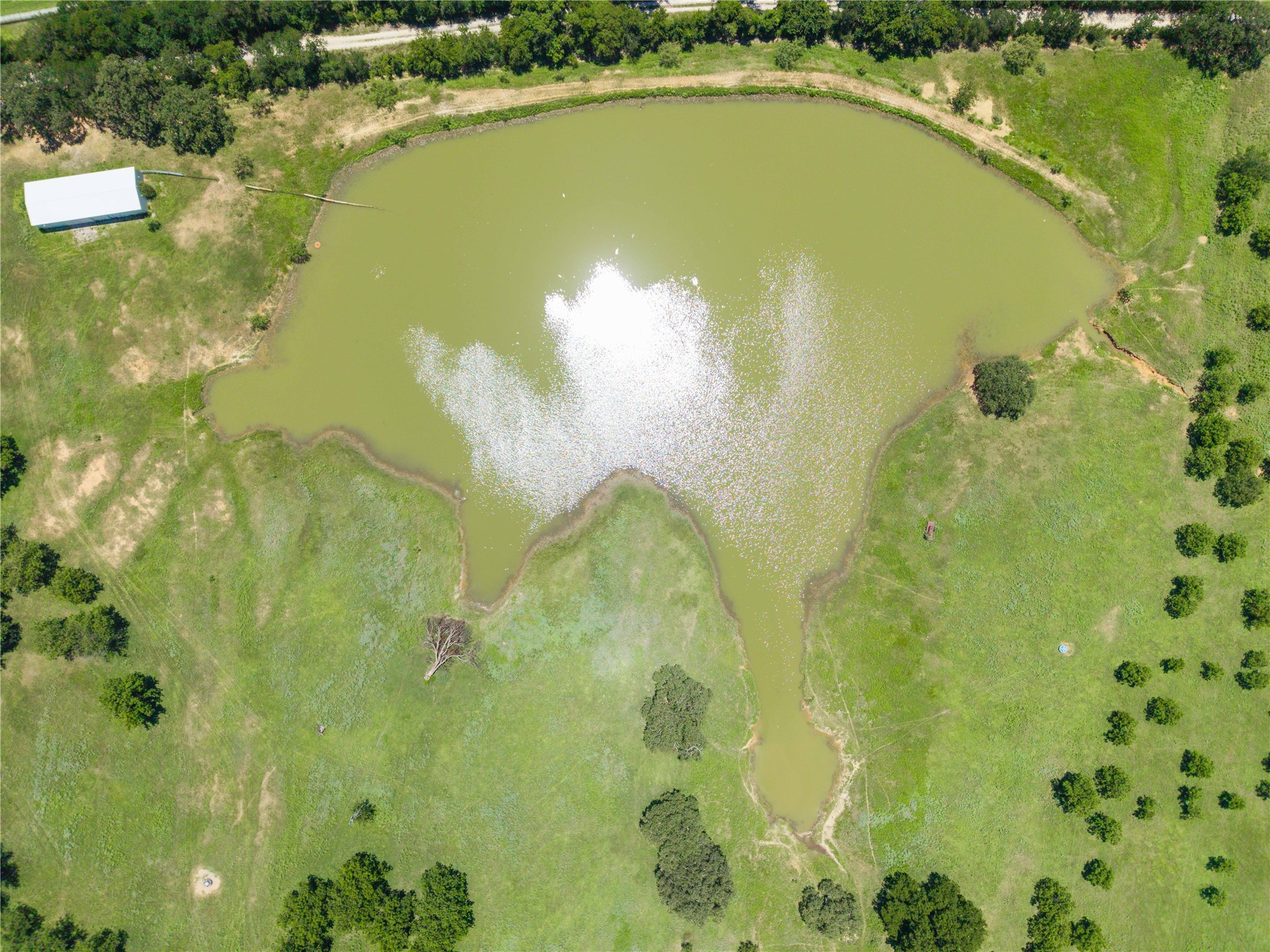 164.08 Acres Tbd Highway 2318 De Leon TX 76444
