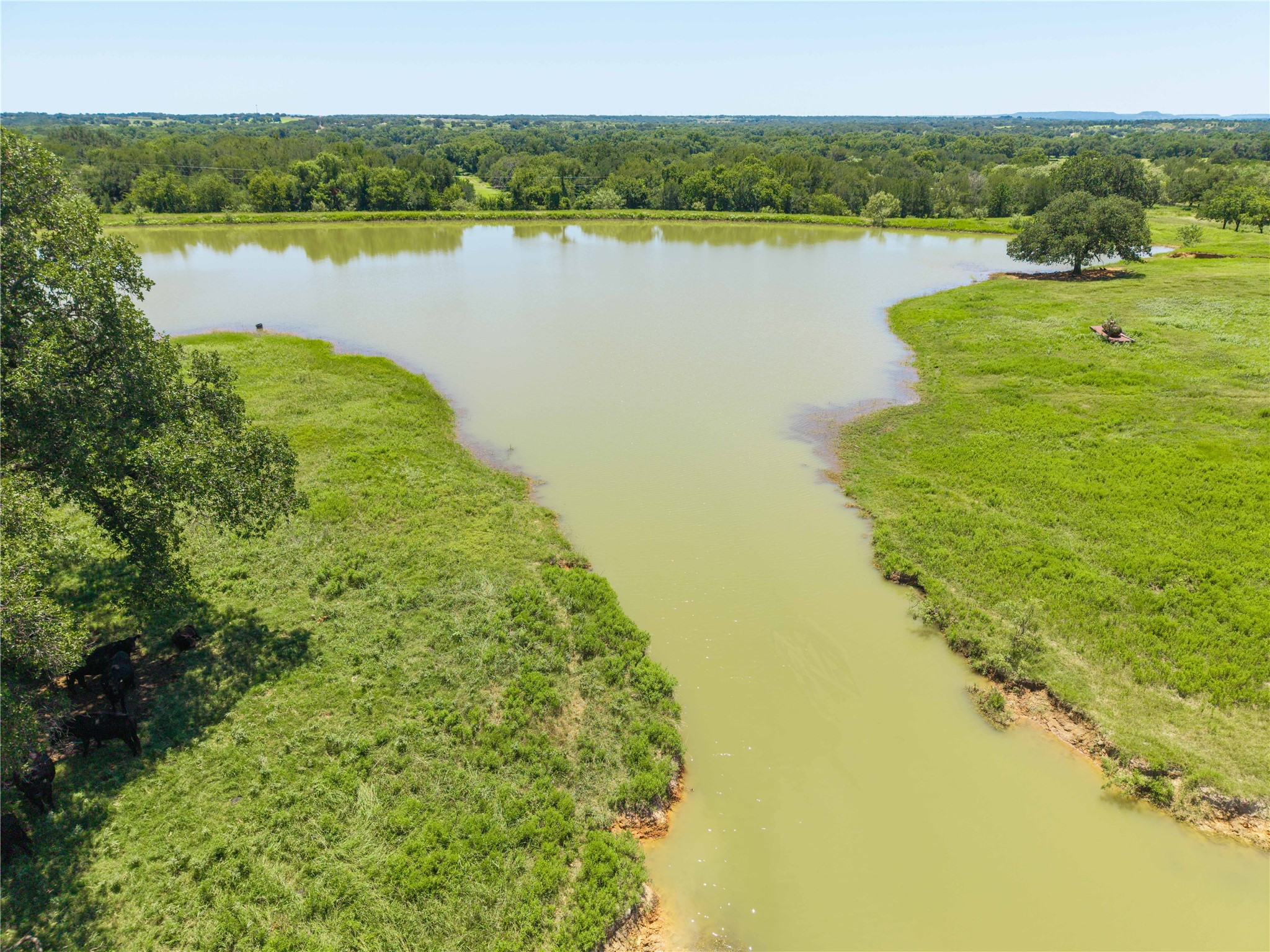 164.08 Acres Tbd Highway 2318 De Leon TX 76444