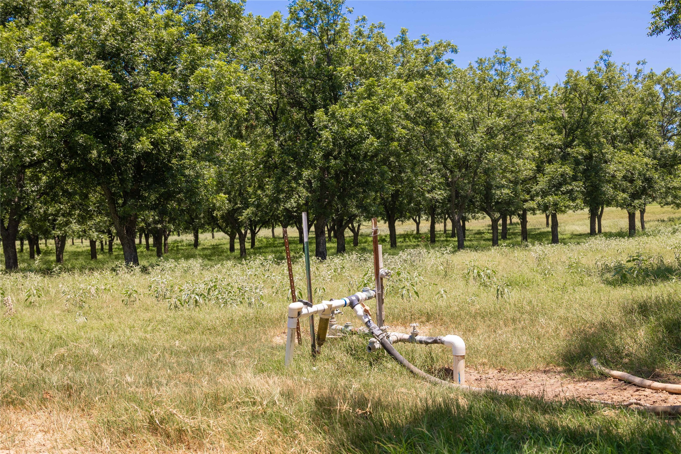 164.08 Acres Tbd Highway 2318 De Leon TX 76444