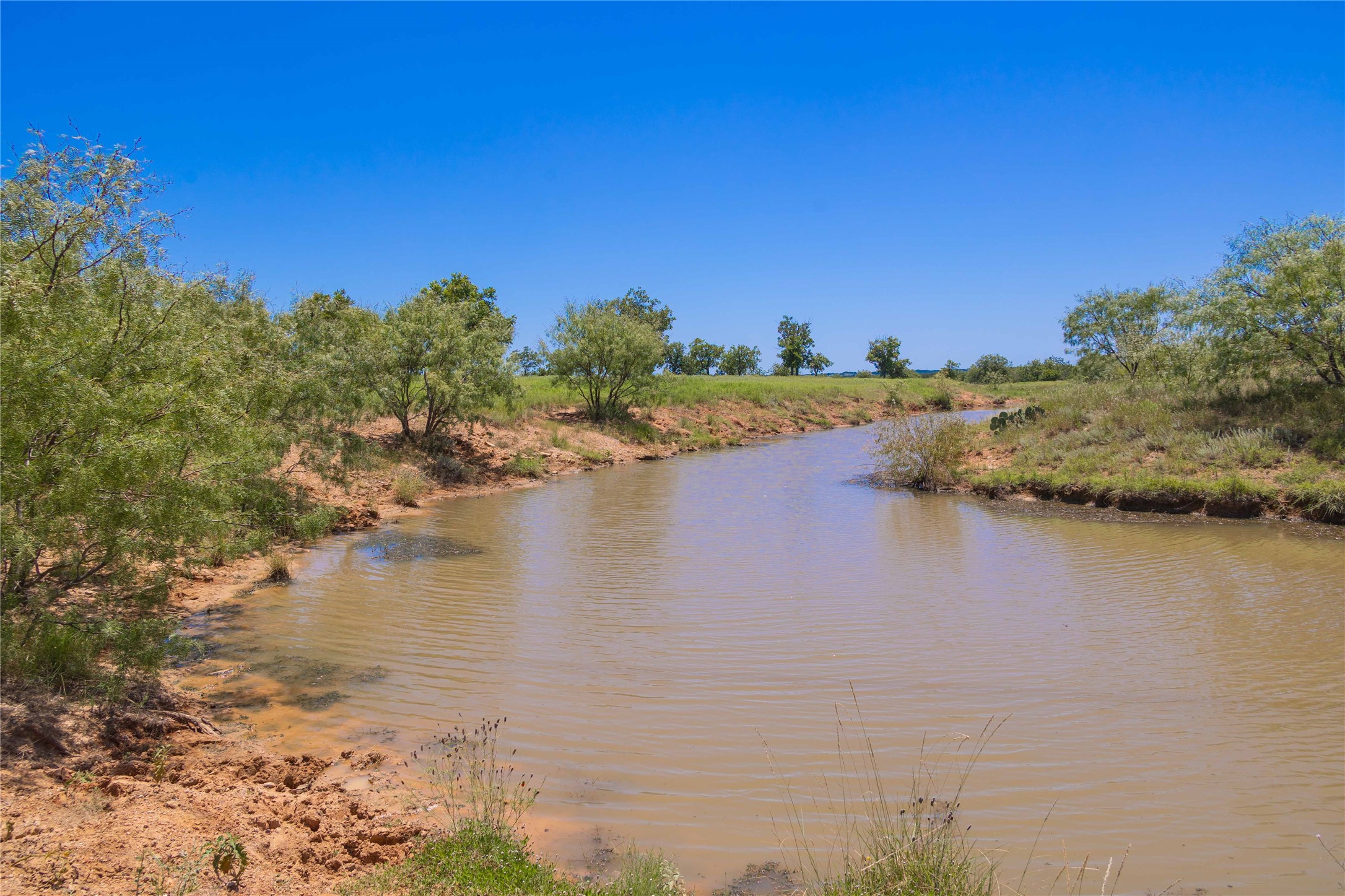 164.08 Acres Tbd Highway 2318 De Leon TX 76444