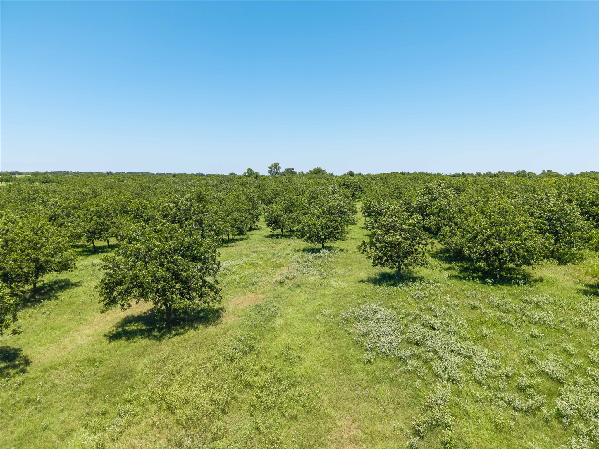 164.08 Acres Tbd Highway 2318 De Leon TX 76444