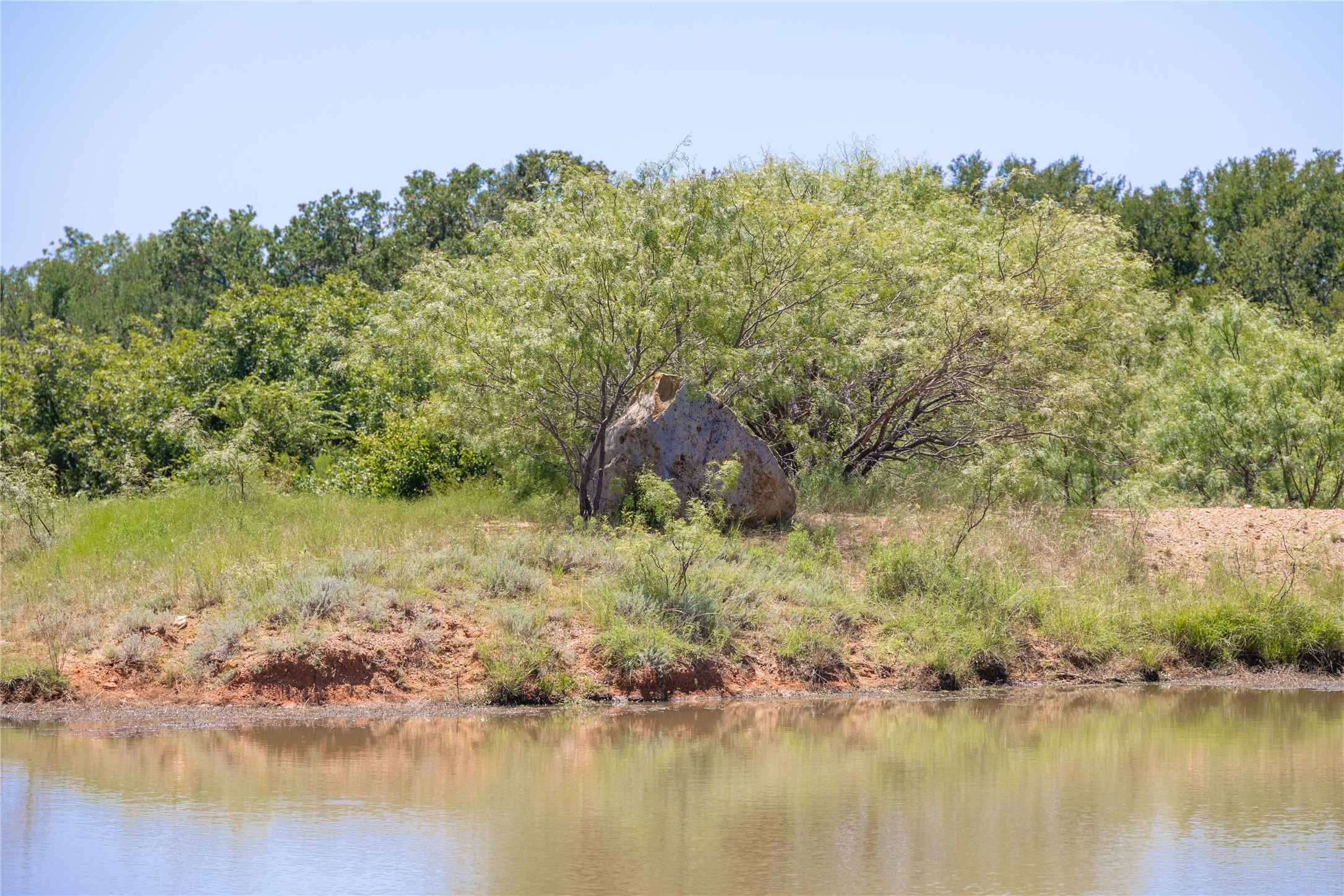 164.08 Acres Tbd Highway 2318 De Leon TX 76444