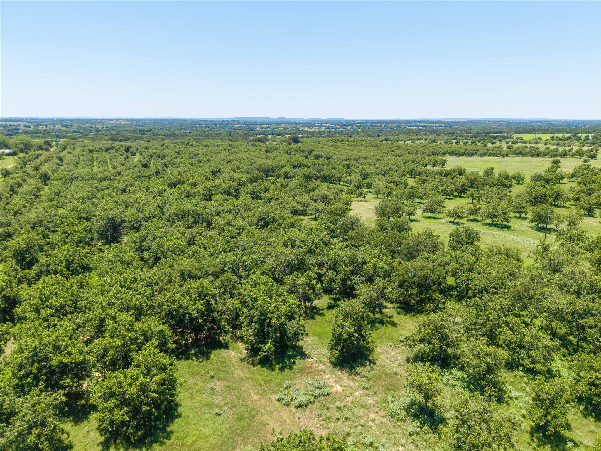 164.08 Acres Tbd Highway 2318 De Leon TX 76444