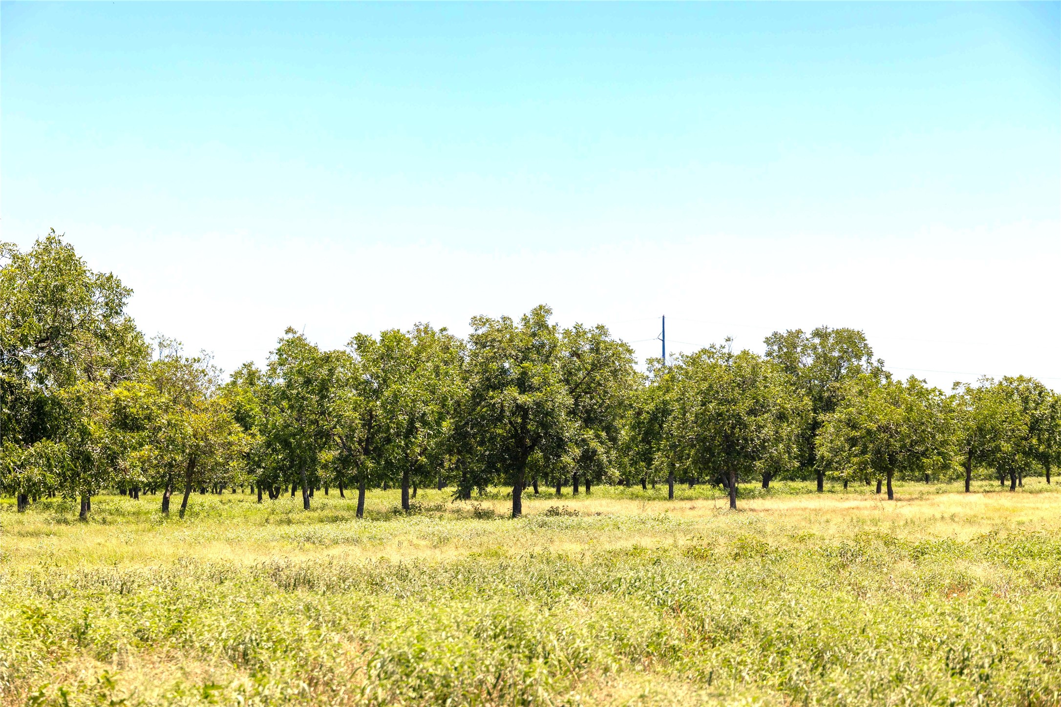 164.08 Acres Tbd Highway 2318 De Leon TX 76444