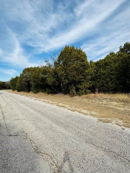 8125 High Mesa Drive Whitney TX 76692