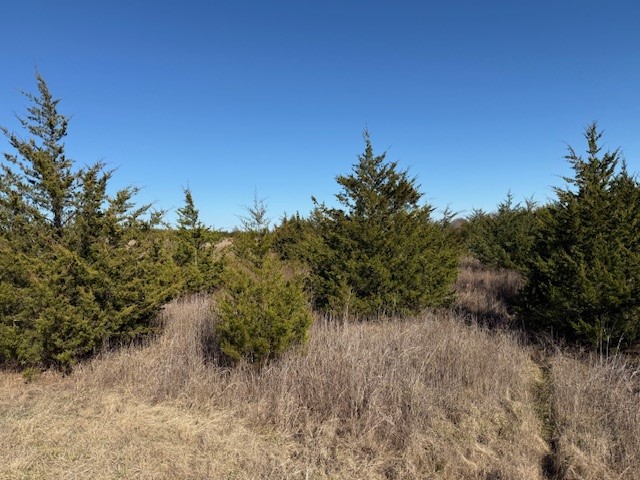 Lot 5 Cr 43380 Paris TX 75462