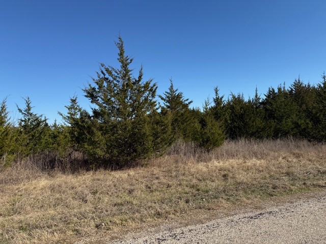 Lot 5 Cr 43380 Paris TX 75462