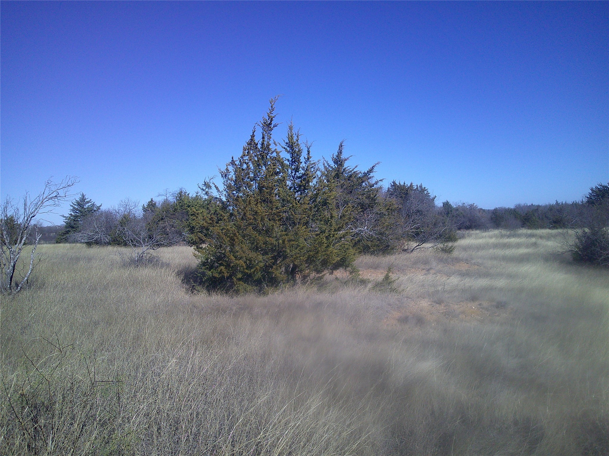 Tr 4e Cr 1750 Chico TX 76431