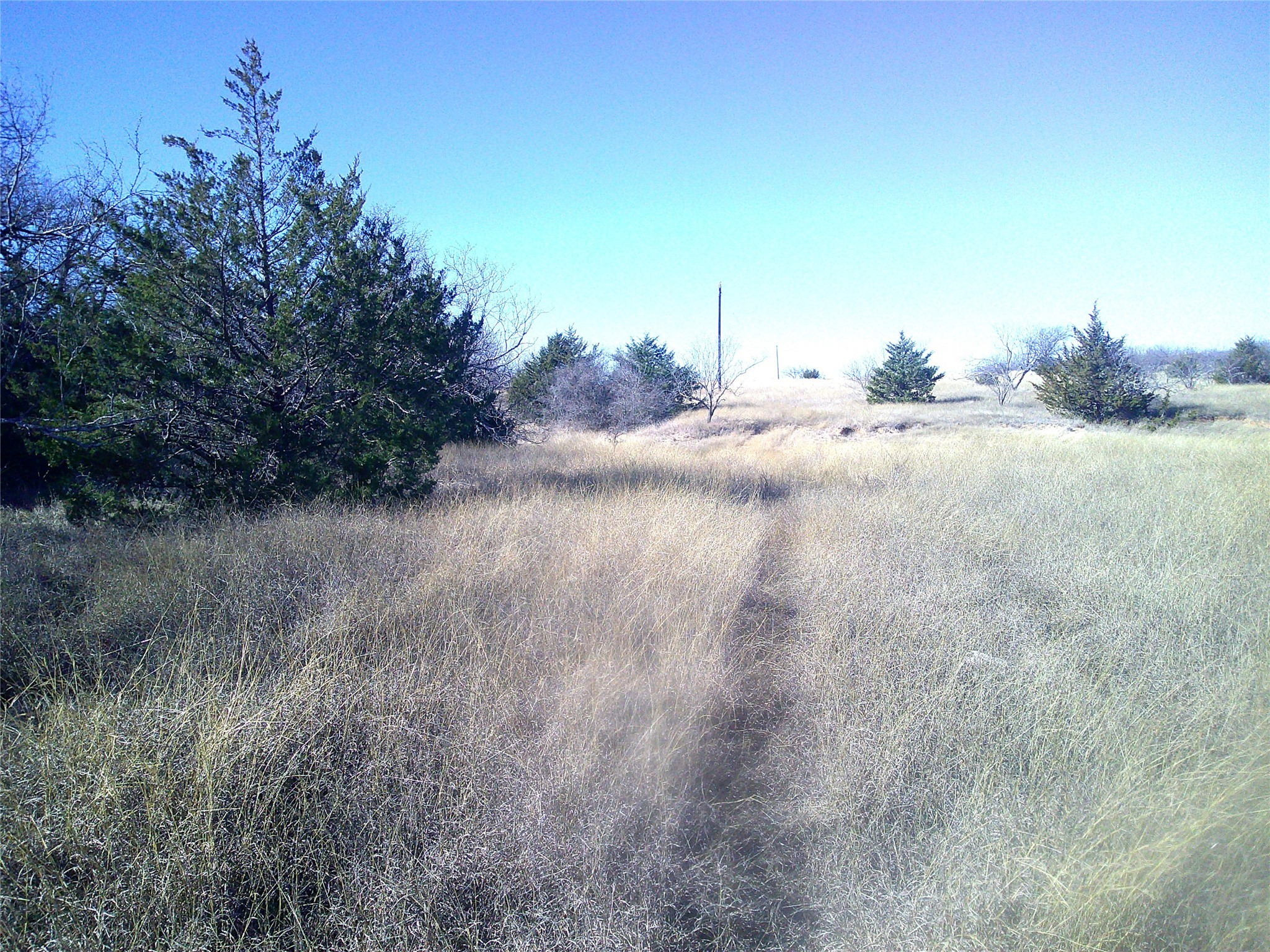 Tr 4e Cr 1750 Chico TX 76431