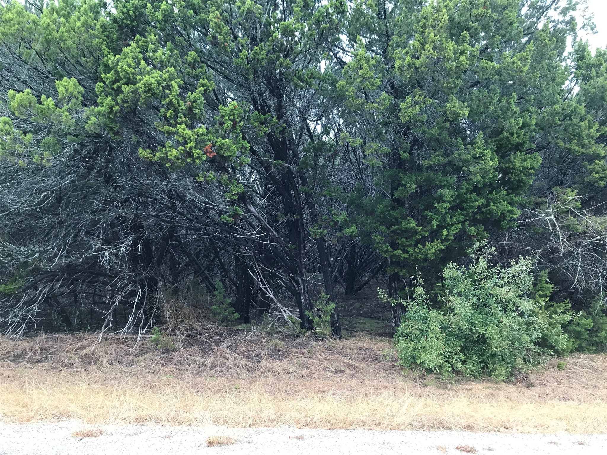 25060 Southhill Drive Whitney TX 76692