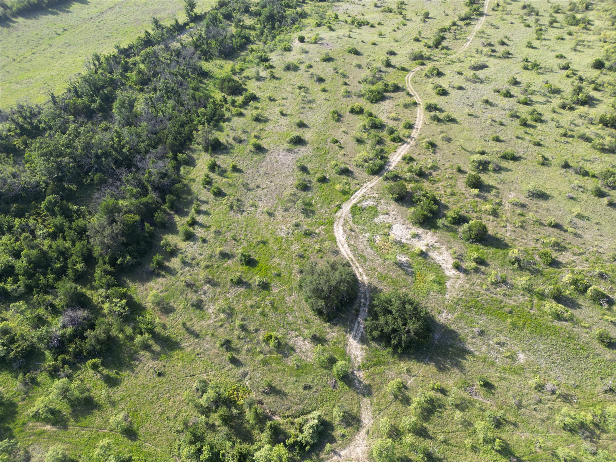 Tbd Fm 2486 & Cr 620 Hamilton TX 76531