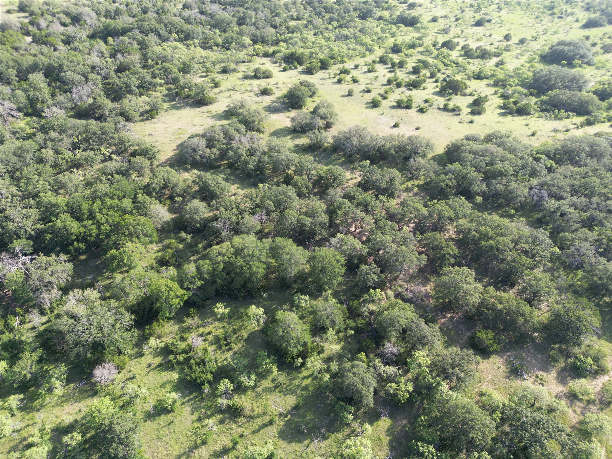 Tbd Fm 2486 & Cr 620 Hamilton TX 76531