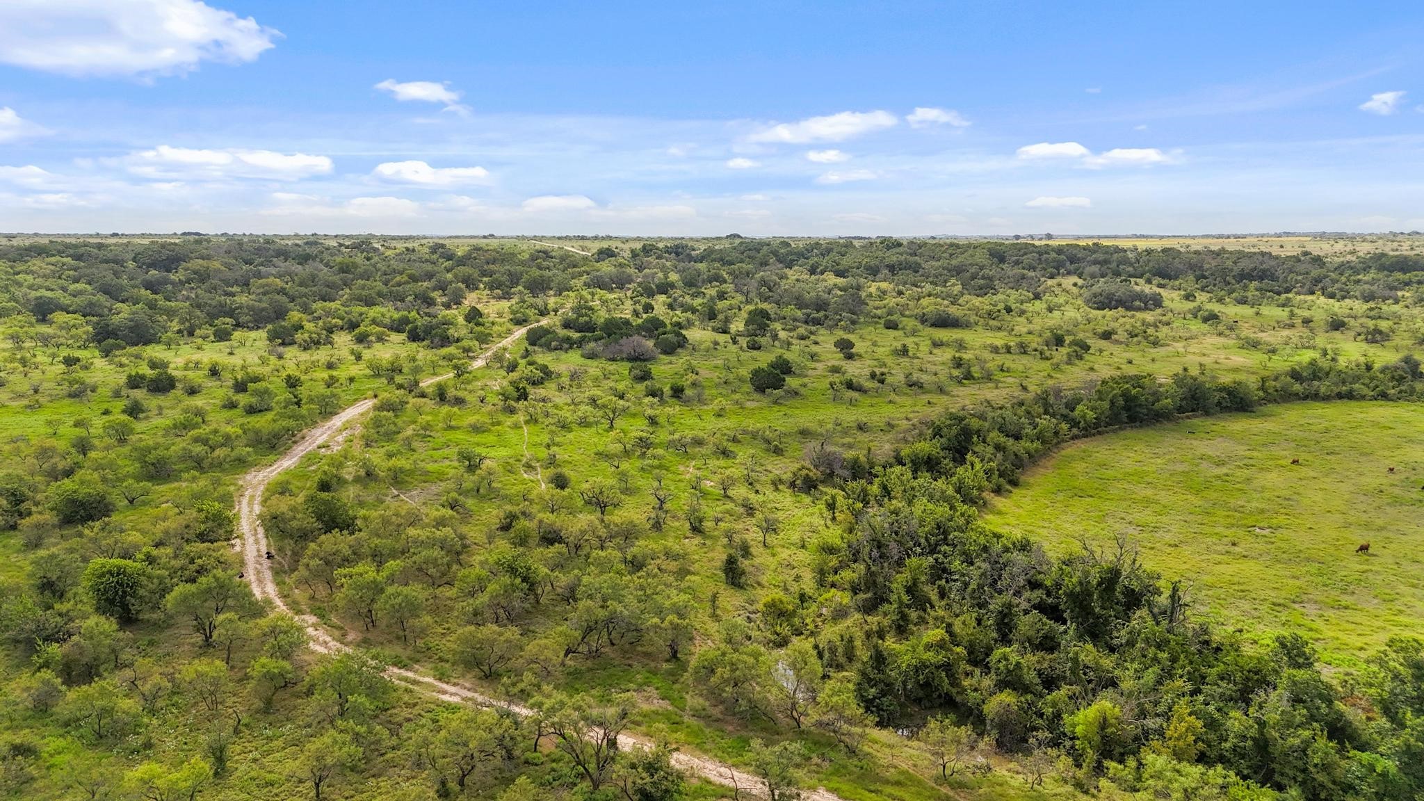 Tbd Fm 2486 & Cr 620 Hamilton TX 76531