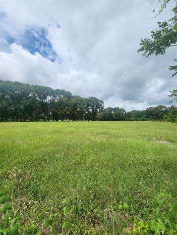 951 County Road 3800 Athens TX 75752