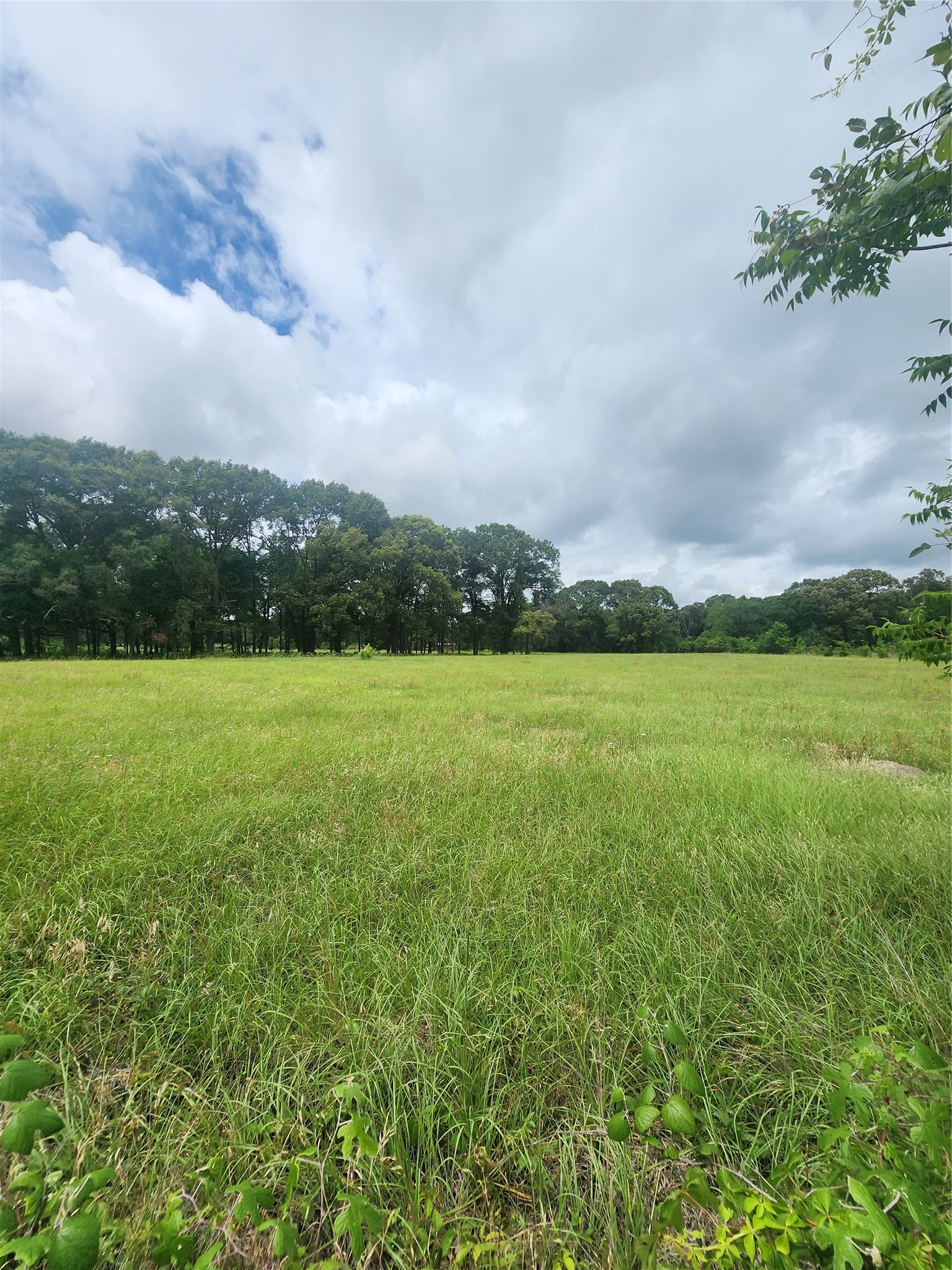 951 County Road 3800 Athens TX 75752