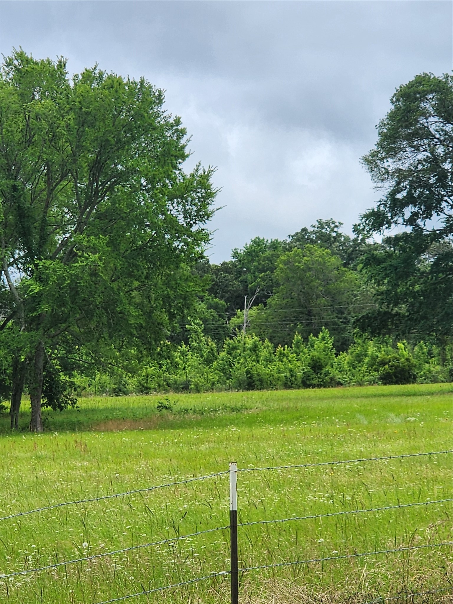 951 County Road 3800 Athens TX 75752
