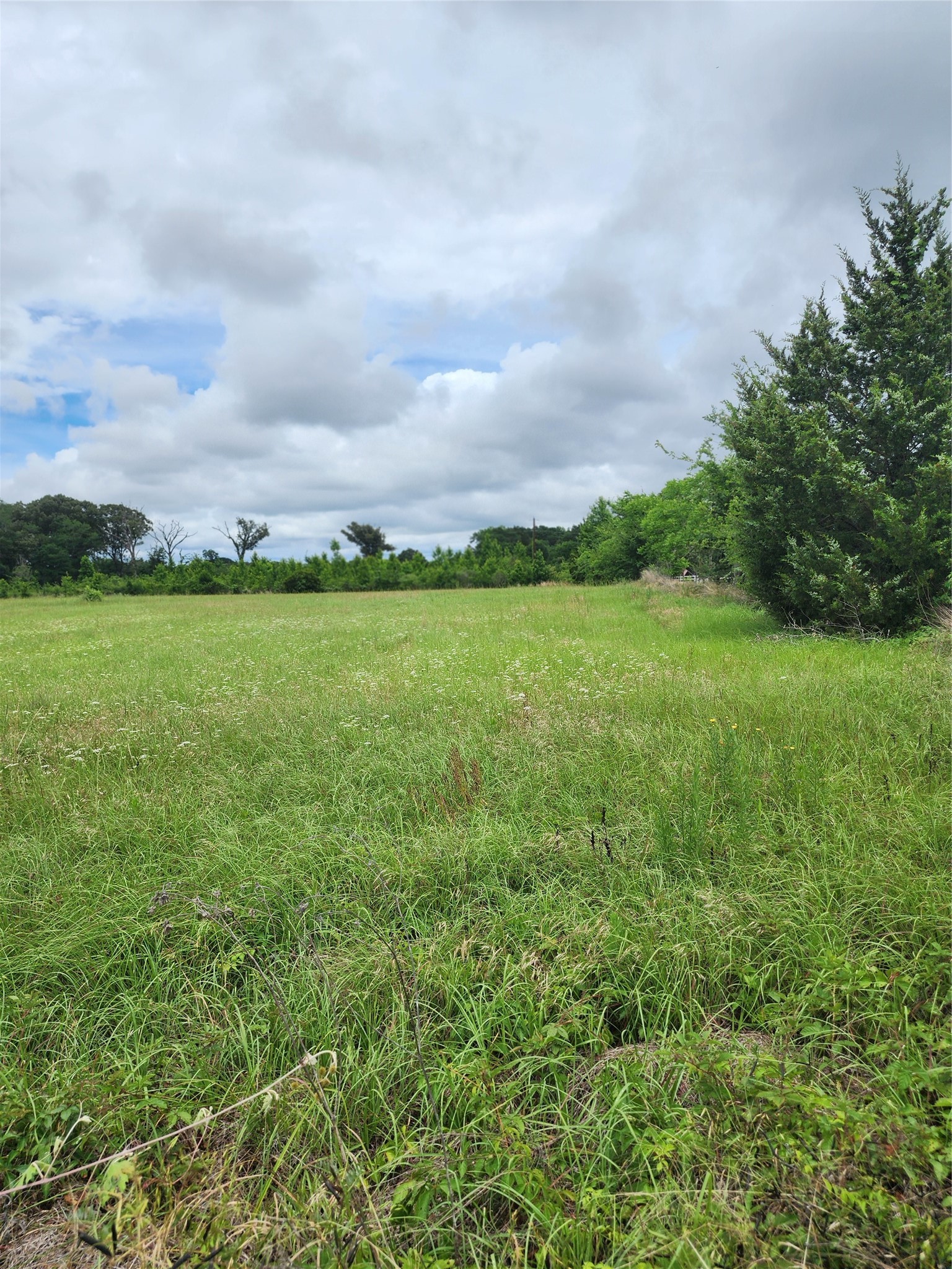 951 County Road 3800 Athens TX 75752