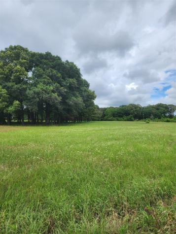 951 County Road 3800 Athens TX 75752