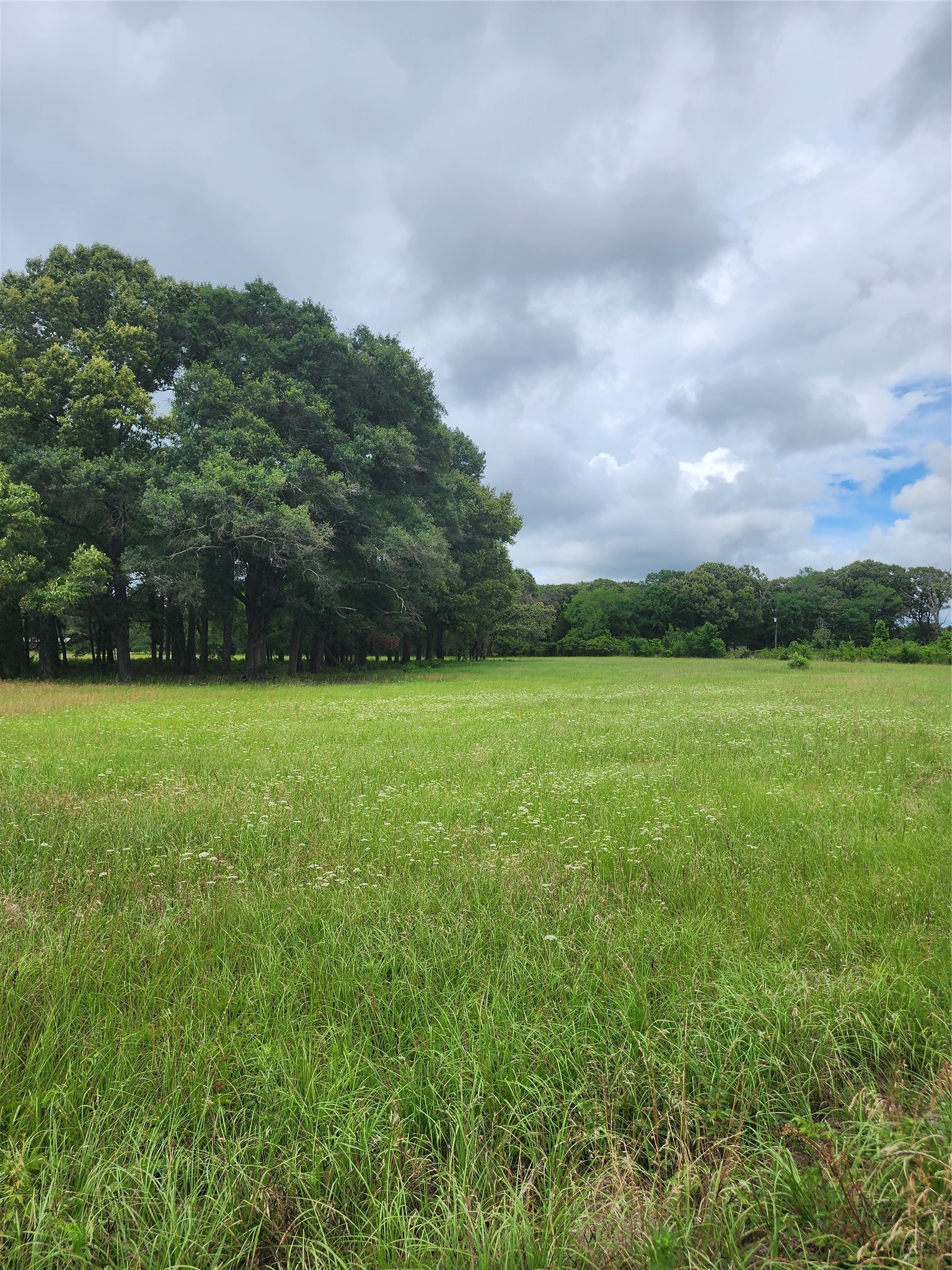 951 County Road 3800 Athens TX 75752