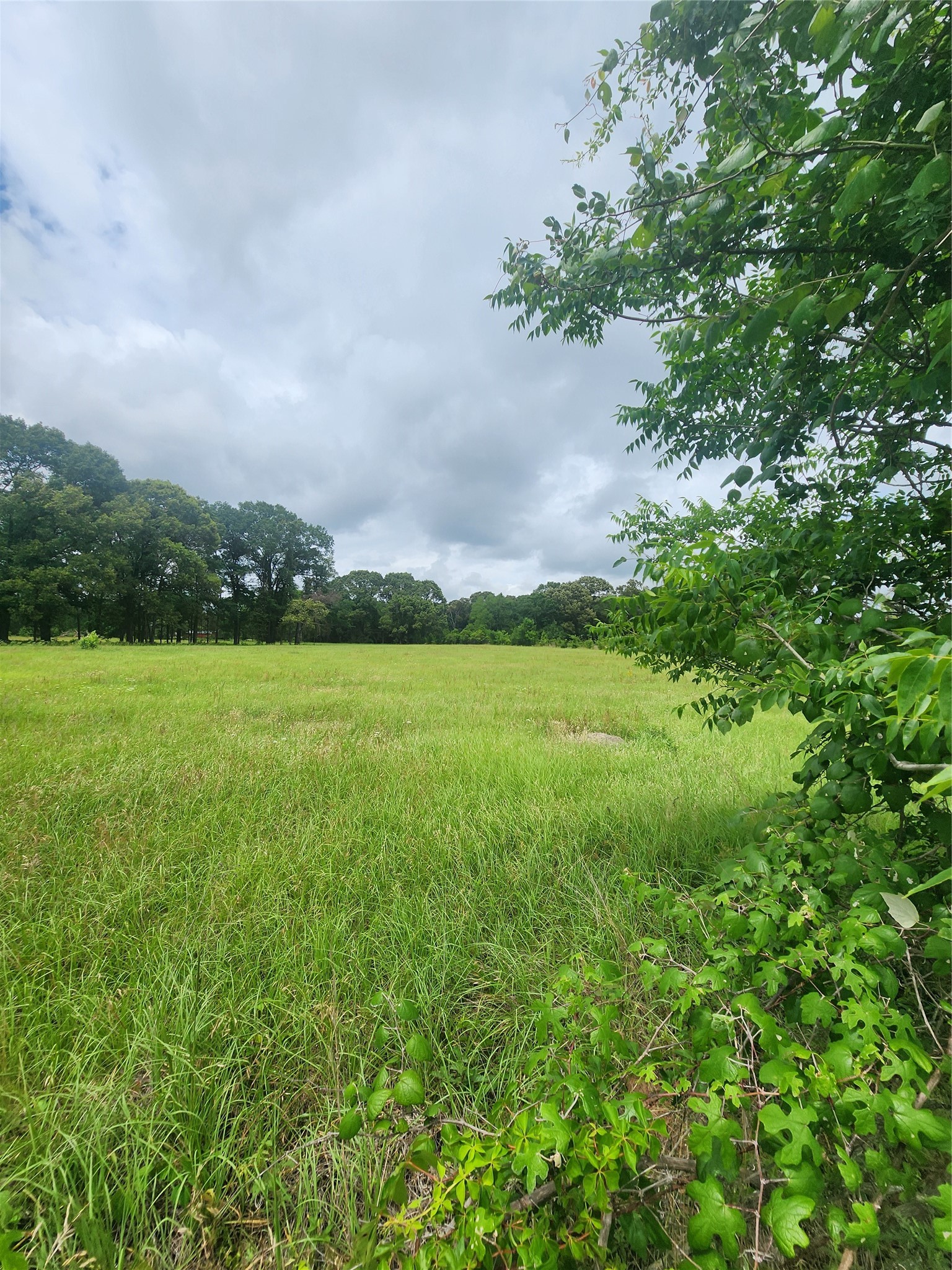 951 County Road 3800 Athens TX 75752