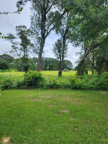 951 County Road 3800 Athens TX 75752
