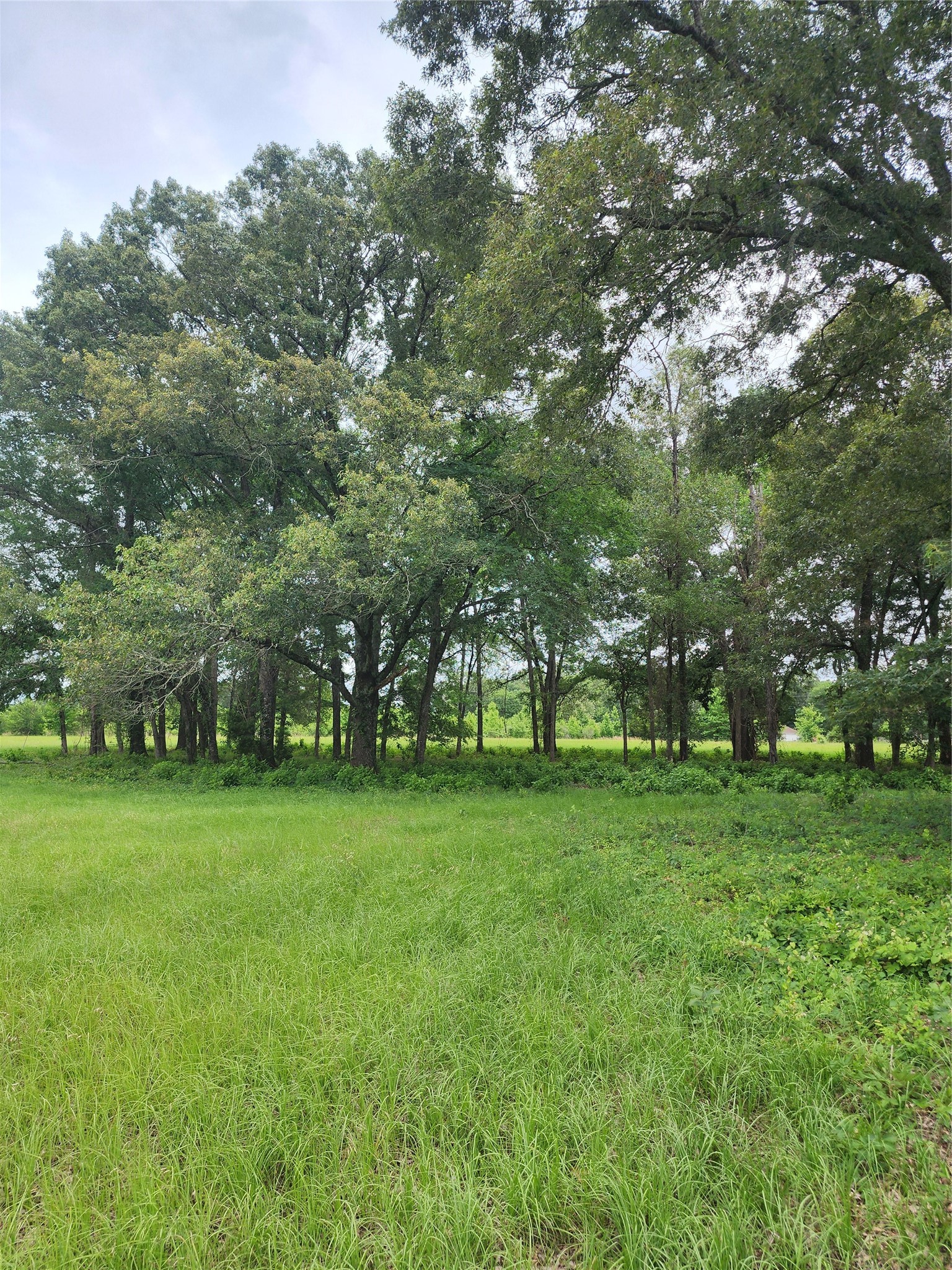 951 County Road 3800 Athens TX 75752