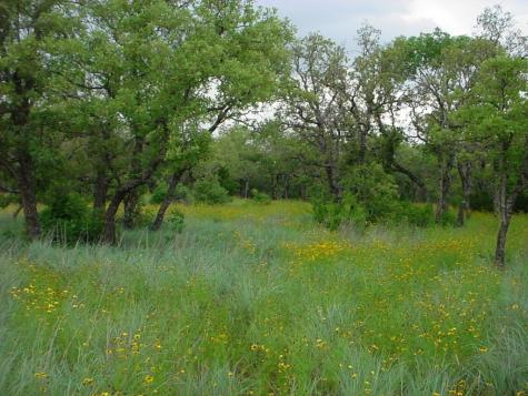 6H Stagecoach Trail Gordon TX 76453