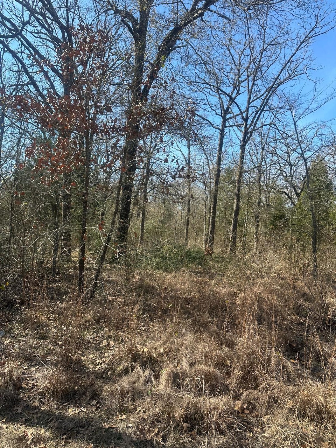 176 Oak Trail Mabank TX 75156