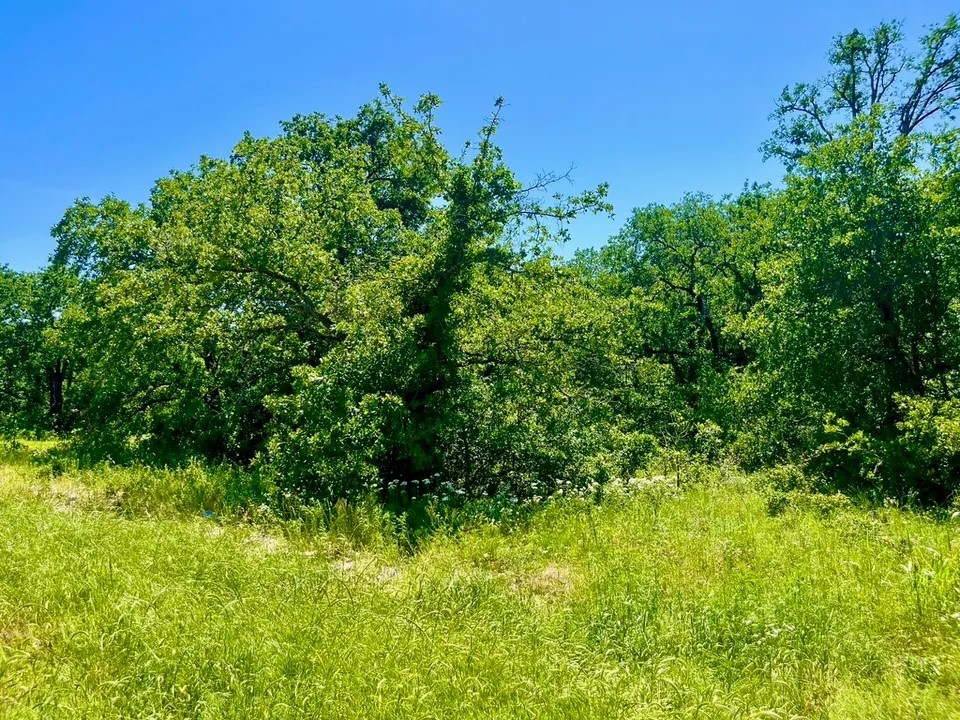 Lot 40 Kilkenny Road Poolville TX 76487