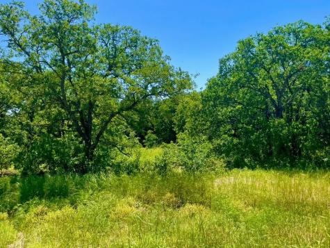 Lot 40 Kilkenny Road Poolville TX 76487