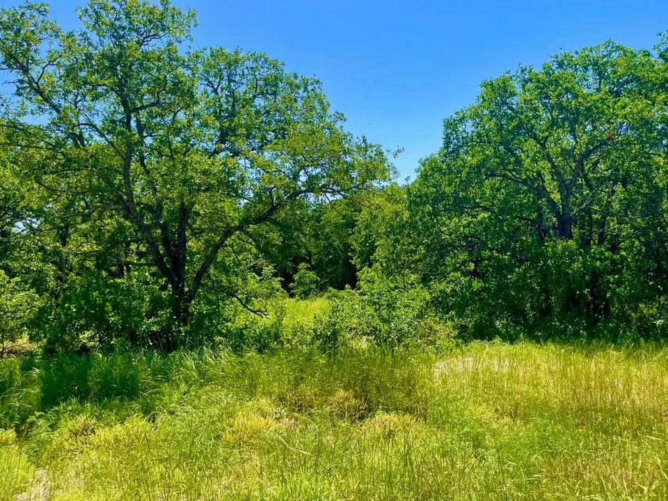 Lot 40 Kilkenny Road Poolville TX 76487