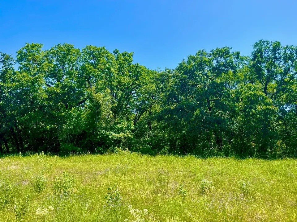 Lot 40 Kilkenny Road Poolville TX 76487
