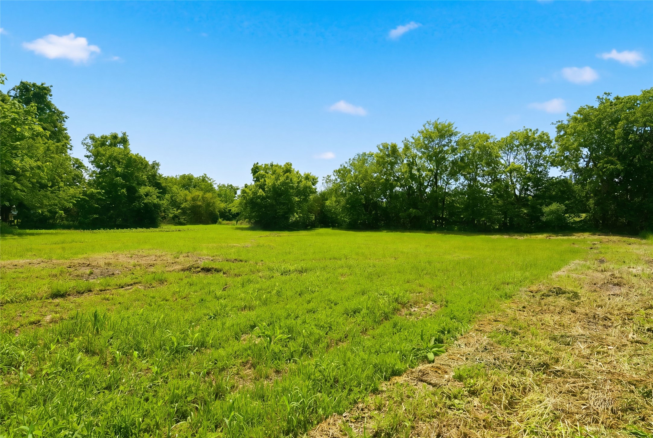 204 S Grand Avenue Wolfe City TX 75496