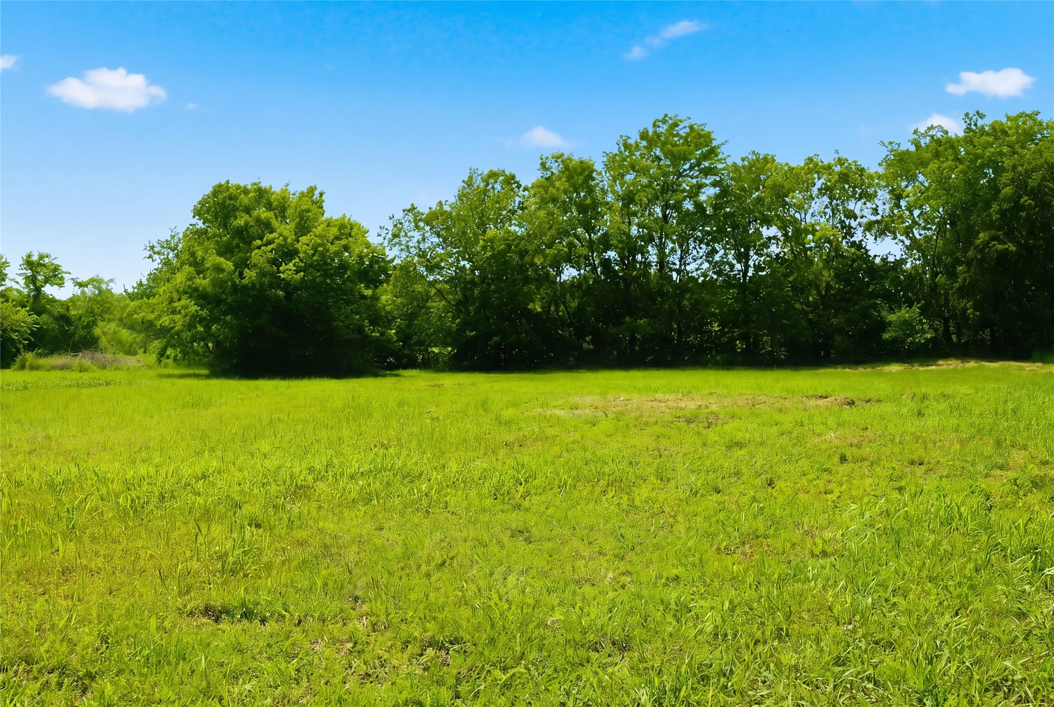 204 S Grand Avenue Wolfe City TX 75496