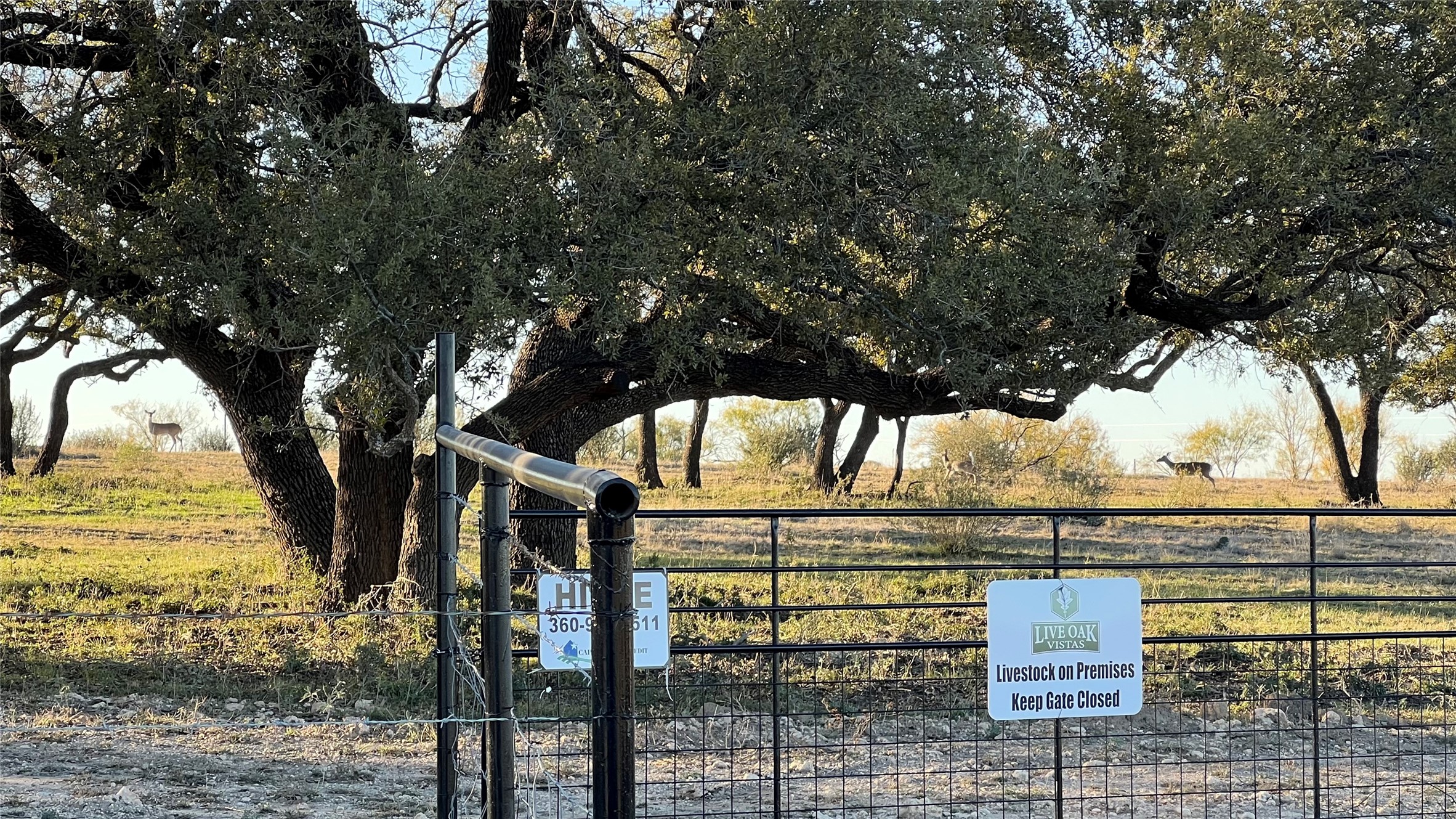 277 N Cr 505 Goldthwaite TX 76844