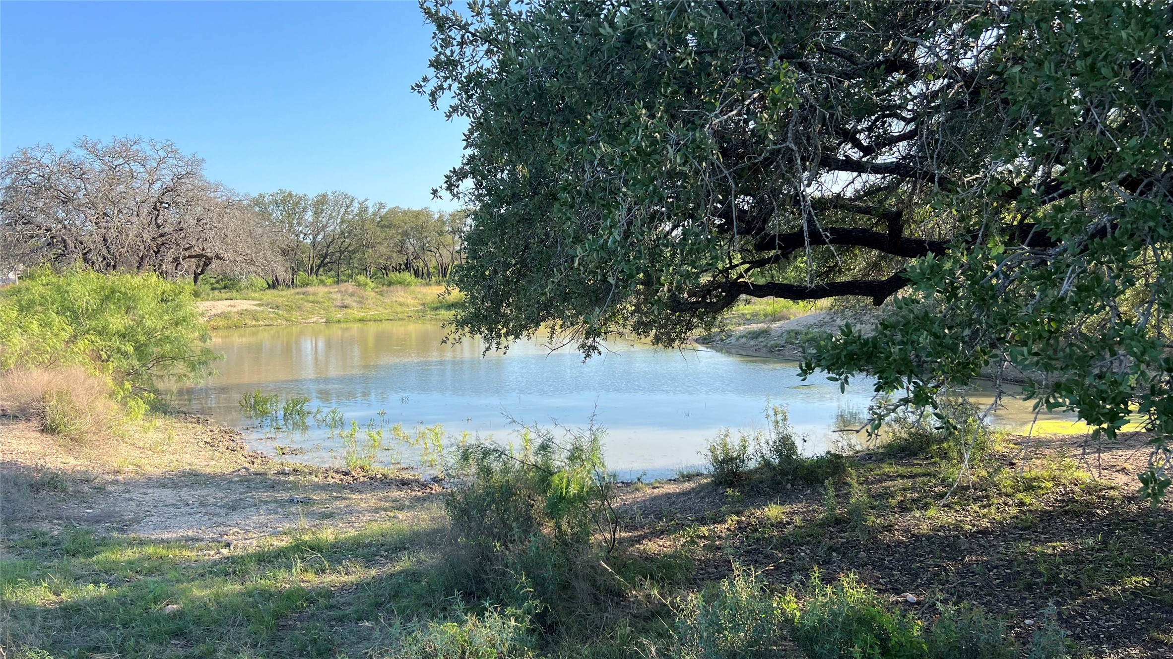277 N Cr 505 Goldthwaite TX 76844