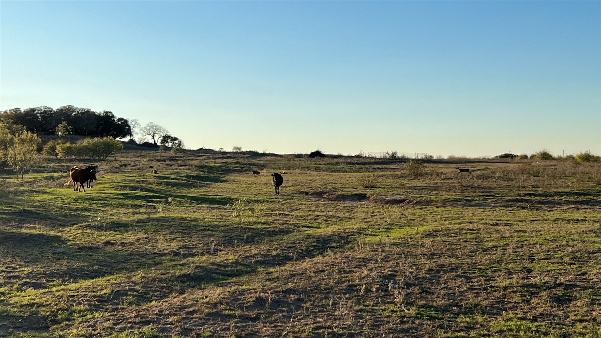 277 N Cr 505 Goldthwaite TX 76844