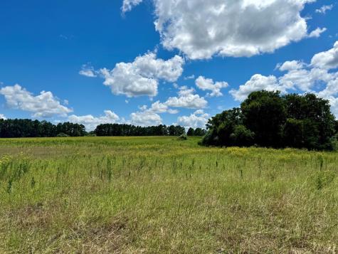0 Bridle View Court Athens TX 75752