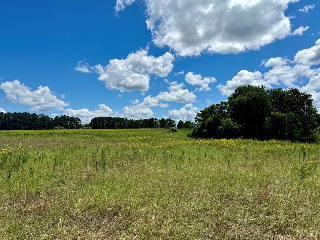 0 Bridle View Court Athens TX 75752