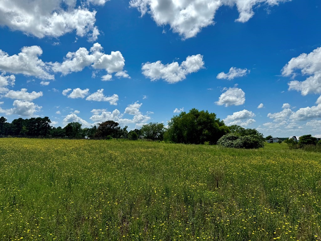 0 Bridle View Court Athens TX 75752