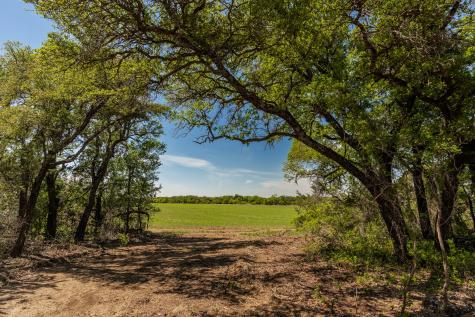Tbd C.r. 120 Coleman TX 76834