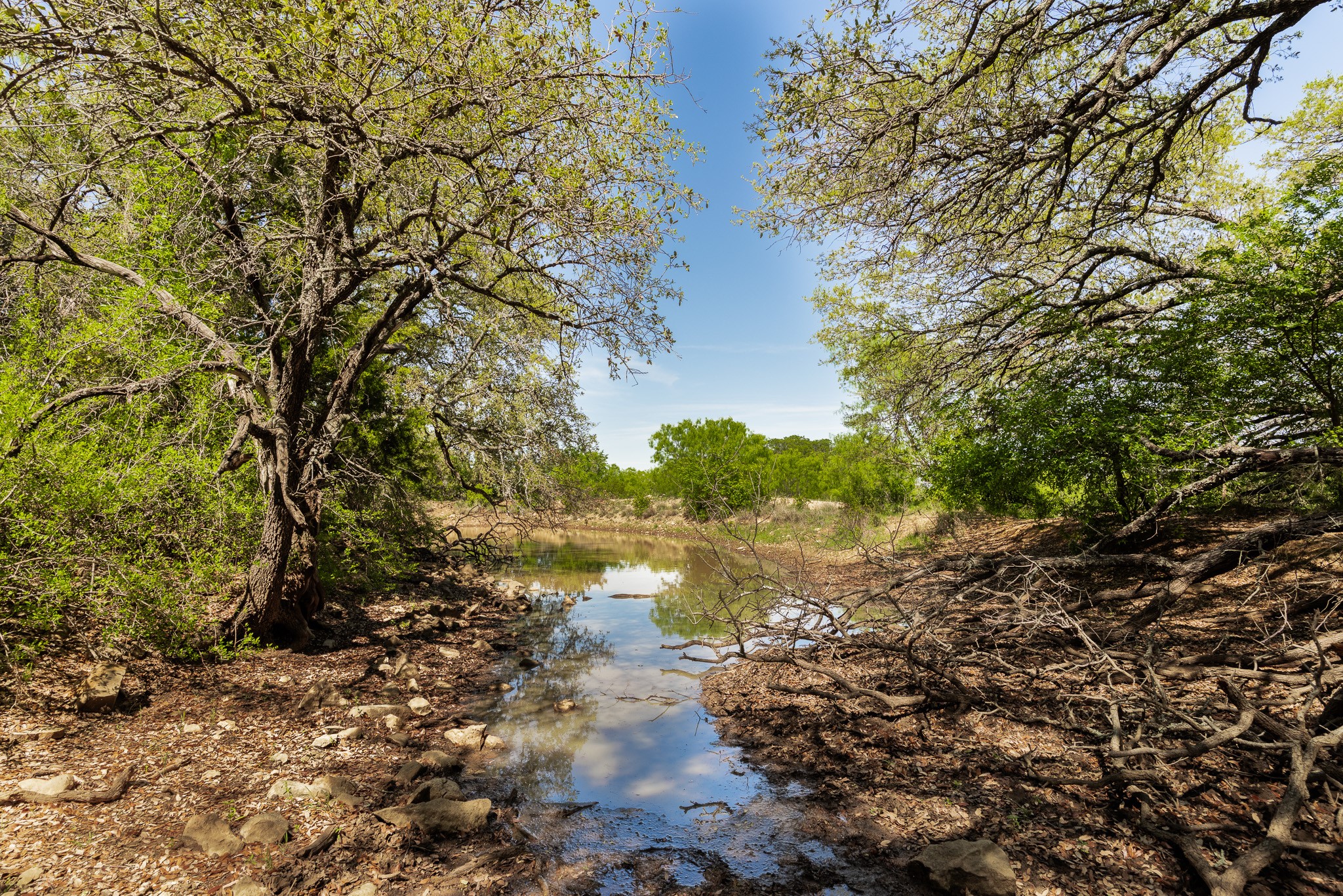Tbd C.r. 120 Coleman TX 76834