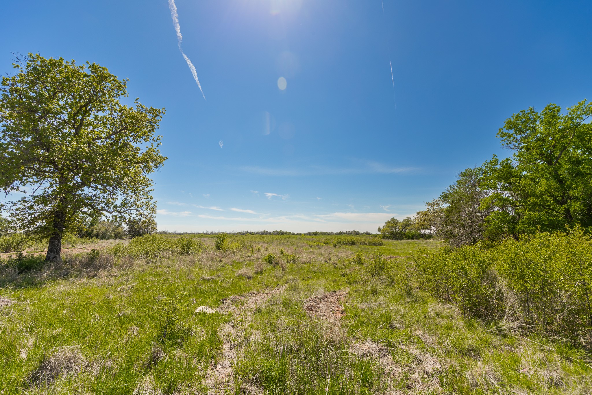 Tbd C.r. 120 Coleman TX 76834