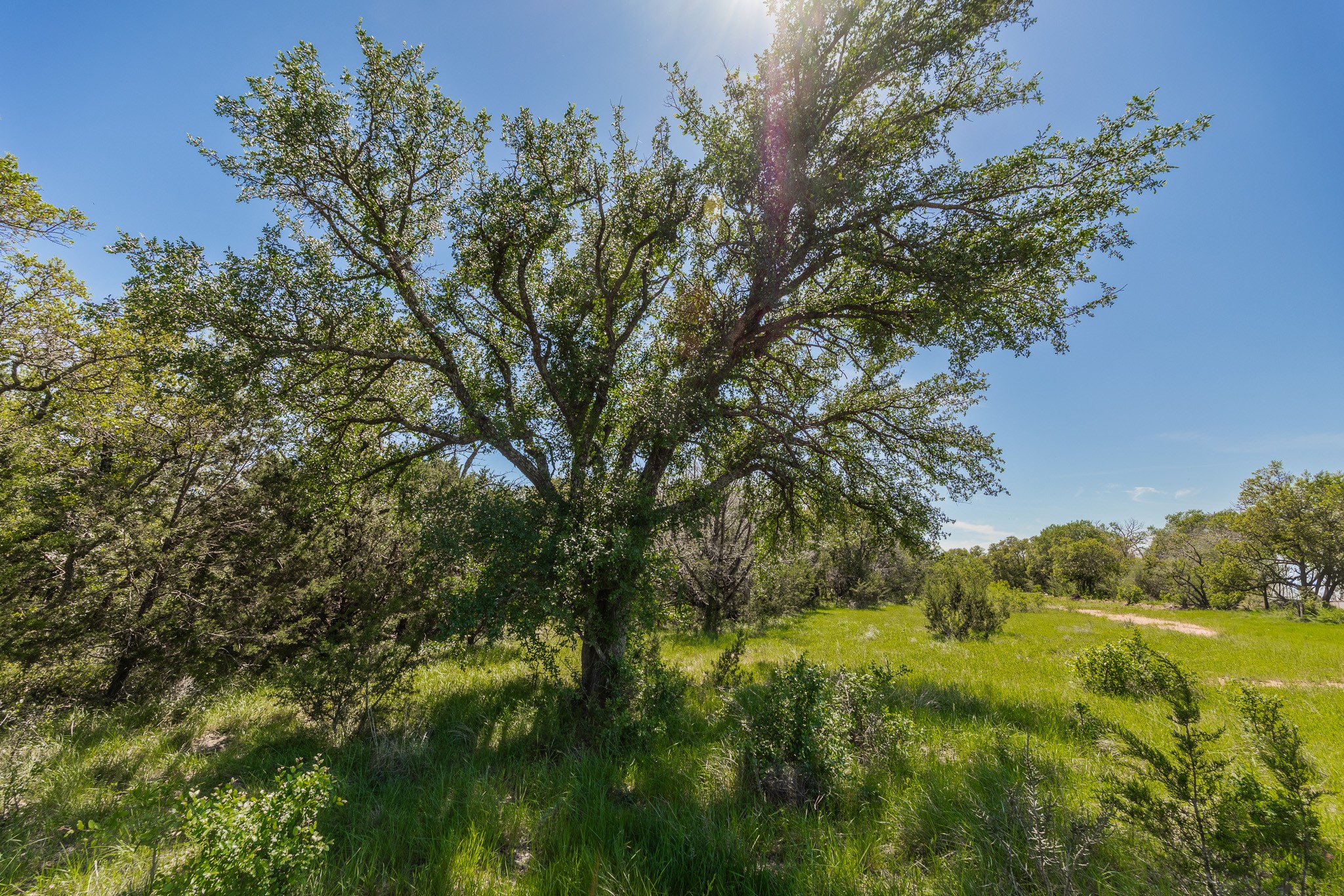 Tbd C.r. 120 Coleman TX 76834