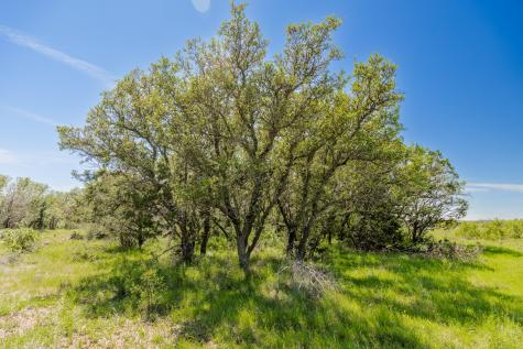 Tbd C.r. 120 Coleman TX 76834