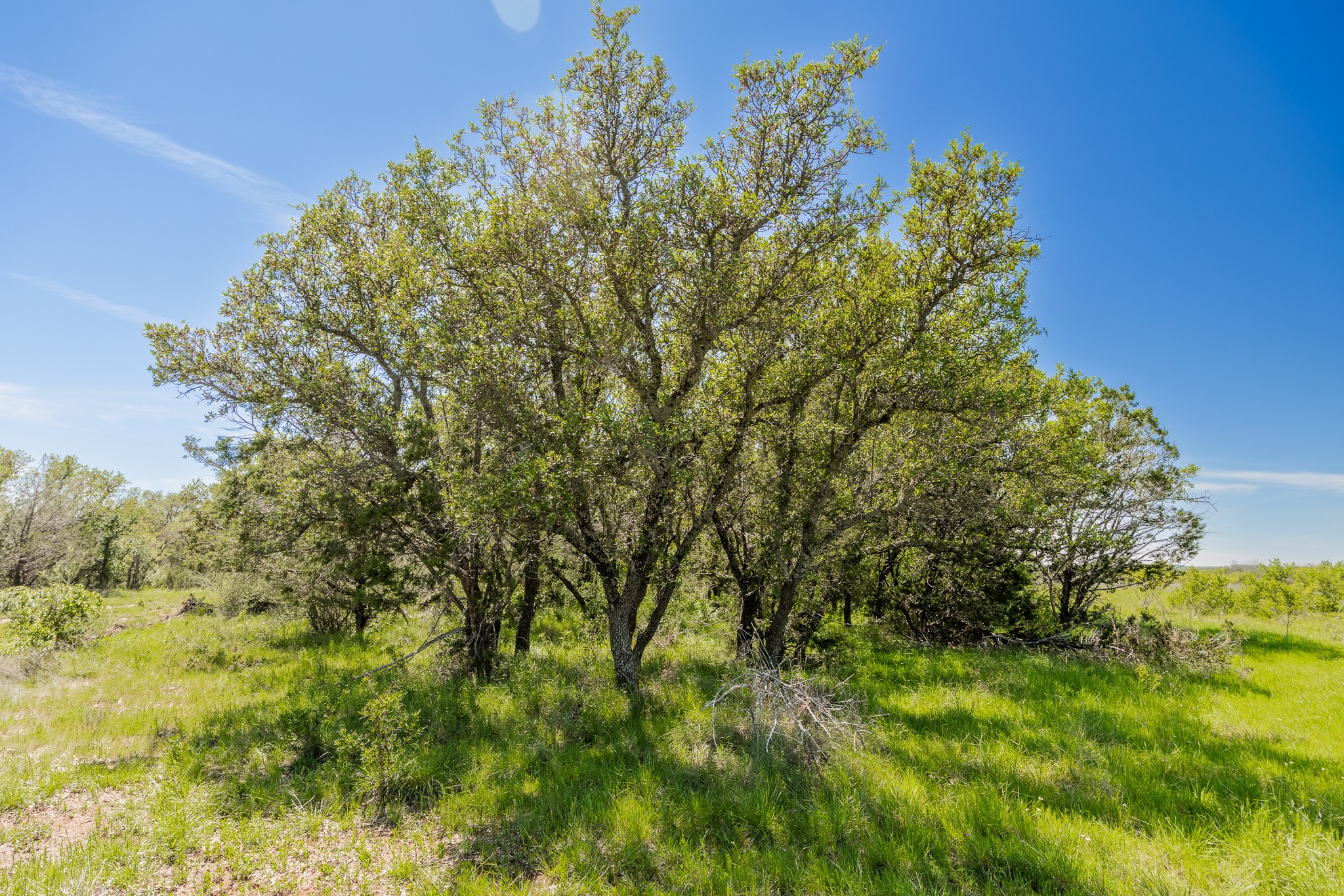 Tbd C.r. 120 Coleman TX 76834